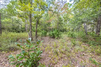 Lot 77 Harbour Trace, Freeport, FL 32439 - Photo 5