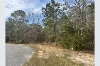 Lot 76 Harbour Trace, Freeport, FL 32439 - Photo 5