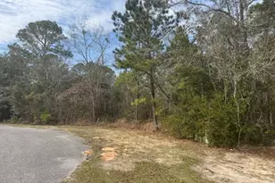 Lot 76 Harbour Trace, Freeport, FL 32439 - Photo 5