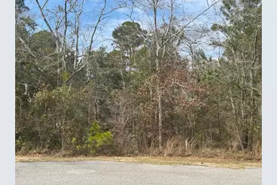Lot 76 Harbour Trace, Freeport, FL 32439 - Photo 3