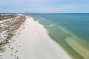 226 Dunes Dr, Mexico Beach, FL 32456 - Photo 47