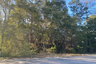 Tbd Ruckel Dr, Niceville, FL 32578 - Photo 5
