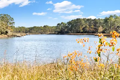 43 Hogtown Bayou Lane, Santa Rosa Beach, FL 32459 - Photo 23