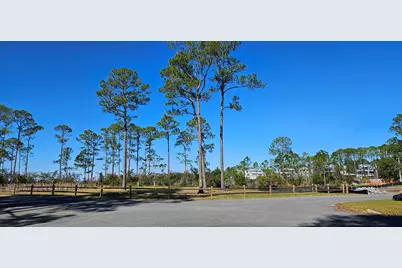 43 Hogtown Bayou Lane, Santa Rosa Beach, FL 32459 - Photo 19