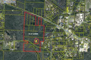 Xx W St Hwy 20 Hwy, Freeport, FL 32439 - Photo 1