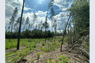 Parcel B Yellow River Baptist Church Road, Baker, FL 32531 - Photo 3