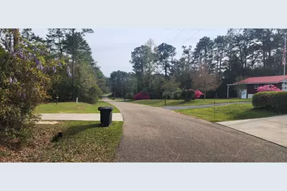 0000 Country Club Drive, Bonifay, FL 32425 - Photo 3