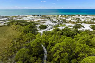 89 Clipper St, Inlet Beach, FL 32461 - Photo 71