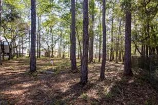Lot 23 B Bayside Dr, Freeport, FL 32439 - Photo 13
