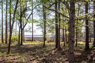 Lot 23 B Bayside Dr, Freeport, FL 32439 - Photo 5