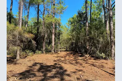 10.7 Acres Juniper Lake Road, Defuniak Springs, FL 32433 - Photo 7