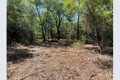 10.7 Acres Juniper Lake Road, Defuniak Springs, FL 32433 - Photo 5