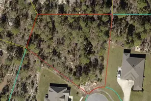 60 Corkwood Ct, Freeport, FL 32439 - Photo 1