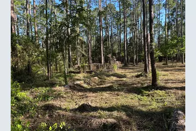 Lots 13-15 Harley Rd, Santa Rosa Beach, FL 32459 - Photo 5