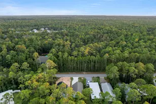1239 E Point Washington Rd, Santa Rosa Beach, FL 32459 - Photo 63