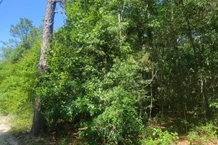 3 2 Acres Paul Rd, Defuniak Springs, FL 32433 - Photo 1