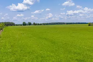 0000 Adams Dr, Defuniak Springs, FL 32433 - Photo 1