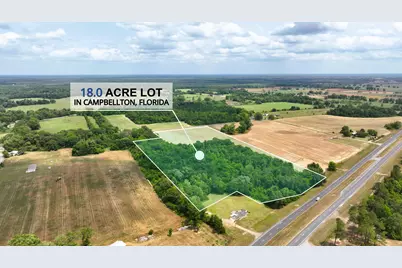 18 Acres Hwy 231, Cottondale, FL 32431 - Photo 3