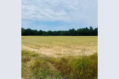 14.4 Acres Hwy 231, Cottondale, FL 32431 - Photo 5