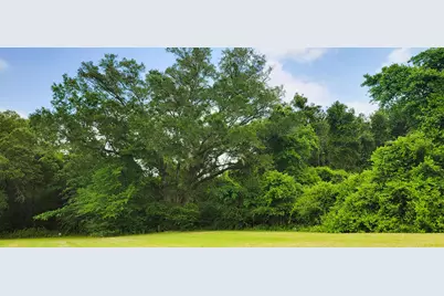 18 Acres Hwy 231, Cottondale, FL 32431 - Photo 5