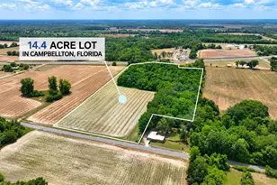 14 4 Acres Hwy 231, Cottondale, FL 32431 - Photo 1