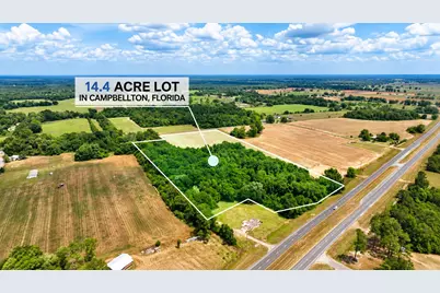 14.4 Acres Hwy 231, Cottondale, FL 32431 - Photo 3