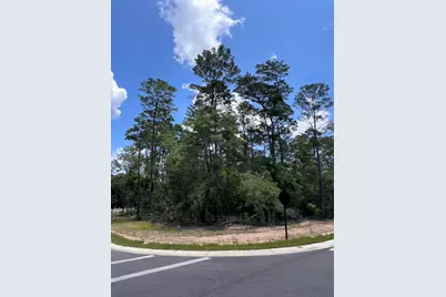 258 Foxglove Run, Niceville, FL 32578 - Photo 1