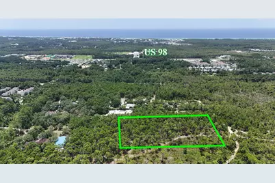461 Don Bishop Road, Santa Rosa Beach, FL 32459 - Photo 3