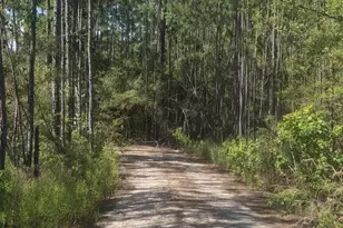 Lot 12 W Nursery Rd, Santa Rosa Beach, FL 32459 - Photo 1