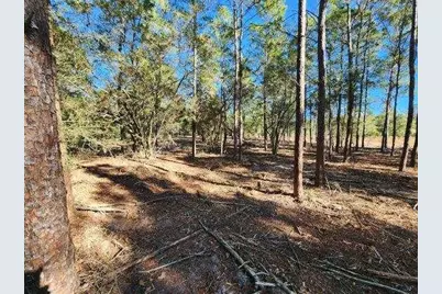 1.2 Acres On Kelly Street, Defuniak Springs, FL 32433 - Photo 3