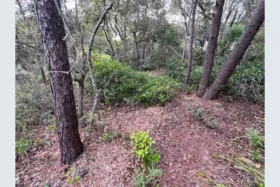 Lot 5 W Okeechobee, Santa Rosa Beach, FL 32459 - Photo 13