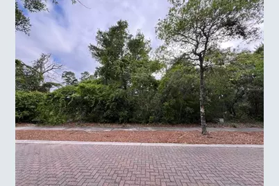 Lot 5 W Okeechobee, Santa Rosa Beach, FL 32459 - Photo 5