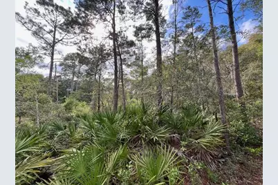 Lot 5 W Okeechobee, Santa Rosa Beach, FL 32459 - Photo 11