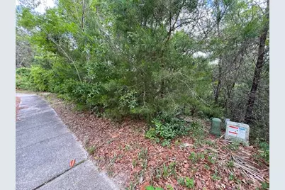 Lot 5 W Okeechobee, Santa Rosa Beach, FL 32459 - Photo 17