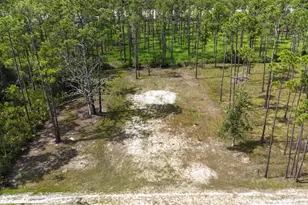 Lot 6 Foxmire Farm Rd, Santa Rosa Beach, FL 32459 - Photo 3
