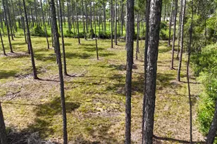 Lot 4 Foxmire Farm Rd, Santa Rosa Beach, FL 32459 - Photo 11