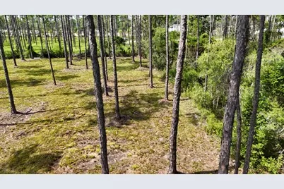 Lot 4 Foxmire Farm Rd, Santa Rosa Beach, FL 32459 - Photo 13
