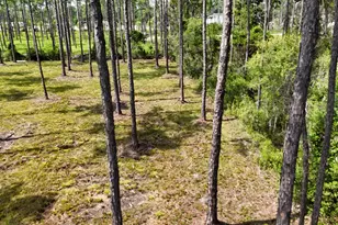Lot 4 Foxmire Farm Rd, Santa Rosa Beach, FL 32459 - Photo 13