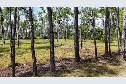 Lot 4 Foxmire Farm Rd, Santa Rosa Beach, FL 32459 - Photo 9