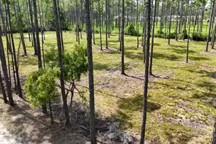 Lot 5 Foxmire Farm Rd, Santa Rosa Beach, FL 32459 - Photo 3