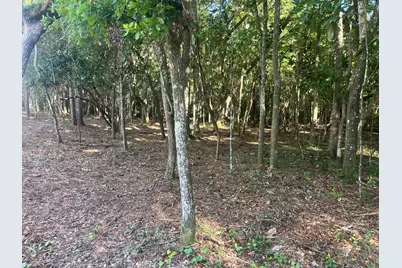 Tbd Sparkleberry Lane, Freeport, FL 32439 - Photo 29
