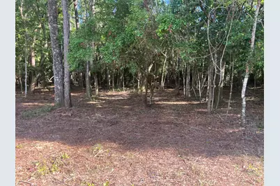 Tbd Sparkleberry Lane, Freeport, FL 32439 - Photo 27