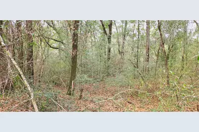 00 NE Second Avenue, Crestview, FL 32539 - Photo 5