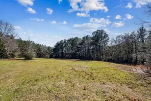 1471 Hwy C 180, Baker, FL 32531 - Photo 5