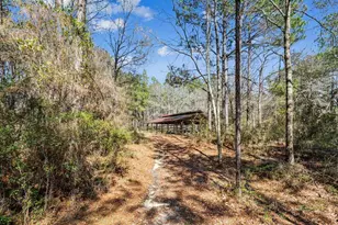 1471 Hwy C 180, Baker, FL 32531 - Photo 53