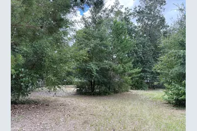 188 Palmetto Avenue, Freeport, FL 32439 - Photo 3