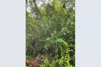 Lot 6 5th Street, Santa Rosa Beach, FL 32459 - Photo 1