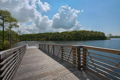 290 Windrow Way, Watersound, FL 32461 - Photo 77