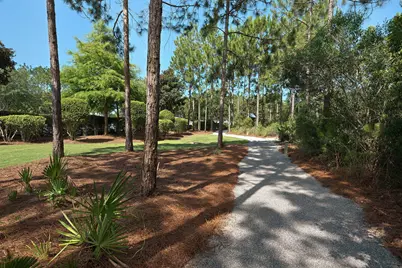 290 Windrow Way, Watersound, FL 32461 - Photo 63