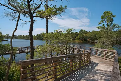 290 Windrow Way, Watersound, FL 32461 - Photo 75